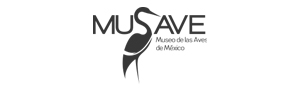 MUSAVE